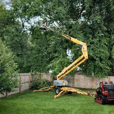 Best Tree Health Inspection  in Casselberry, FL