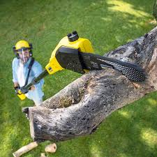 Best Aeration Services  in Casselberry, FL